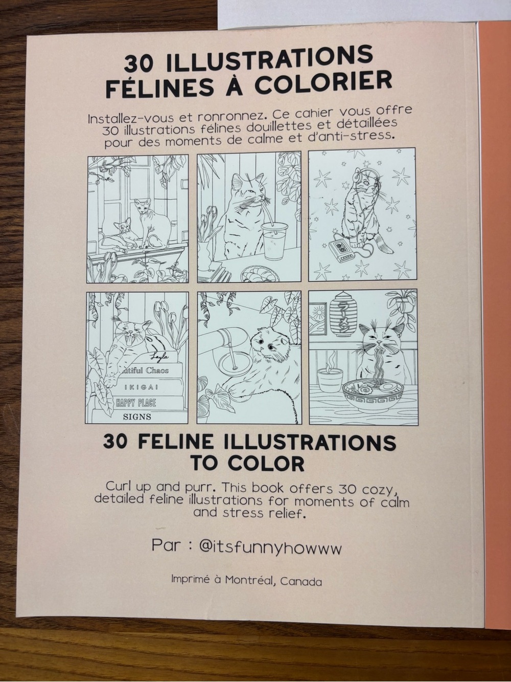 It’s Funny Howww Coloring Books The self Care collection (3) - Picture 5 of 10